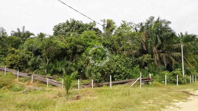 1.21 Acre Land Batang Berjuntai Bestari Jaya Kuala Selangor 1