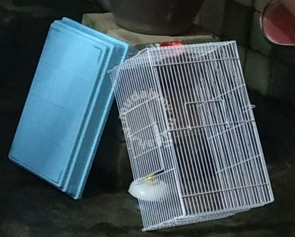 second hand hamster cage
