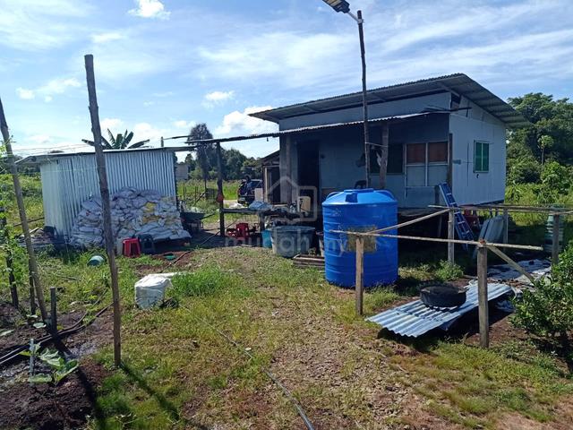 tanah kebun untuk dijual 1
