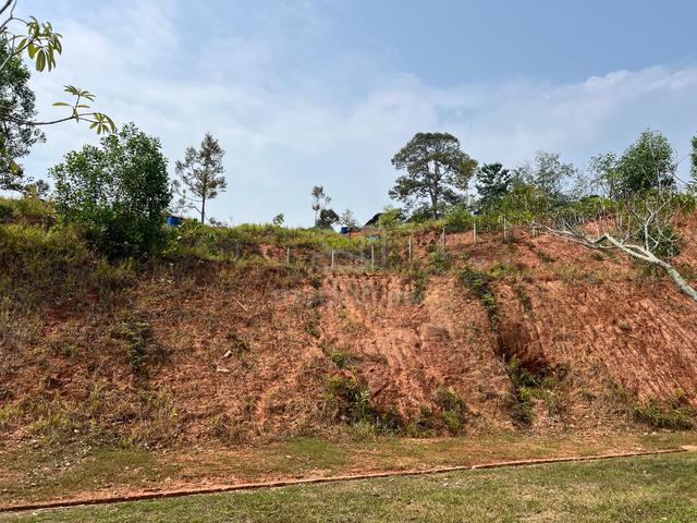 6.5 acres Durian foam Development land Jelabu titi Seremban 1