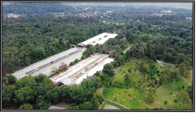 Tanah Untuk Dijual – Batang Kali, Selangor. 1