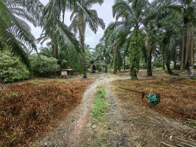 7.5 Acres Zone Residential Main Road Olak Lempit Banting Dengkil 4