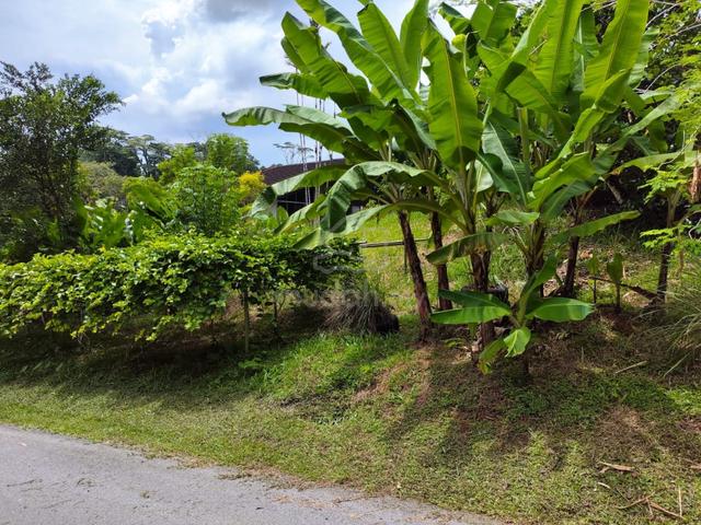 Detached Land At Nearby Crookshank Road & Bampfylde Road For Sale 4