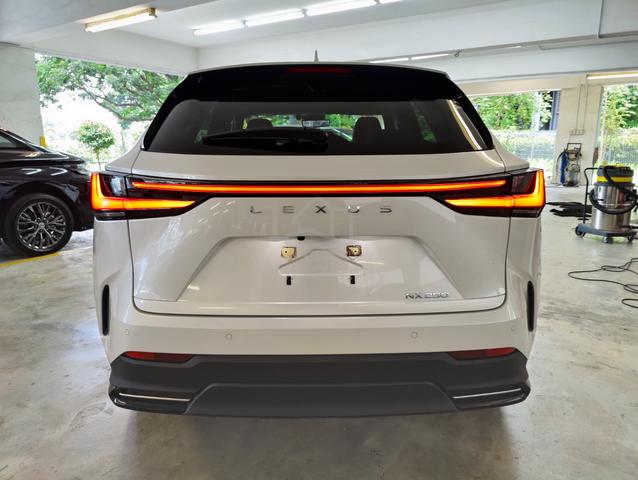 2023 Lexus NX 250 2.5 LUXURY NX250 SPECIAL OFFER - 4