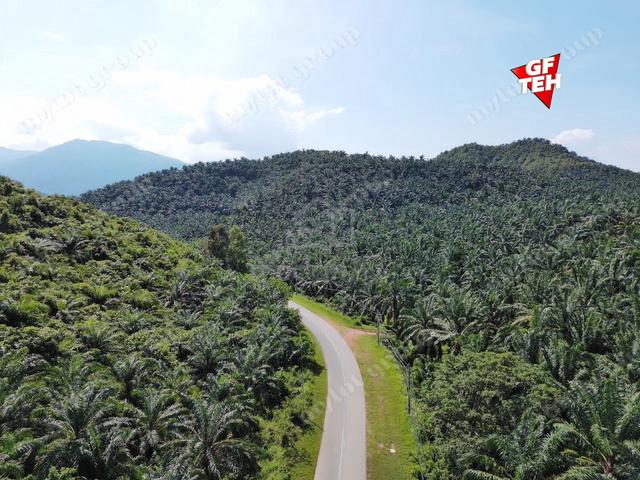86.68 acre Agricultural Land | Main Road | Tawar | Baling | Kedah b 1