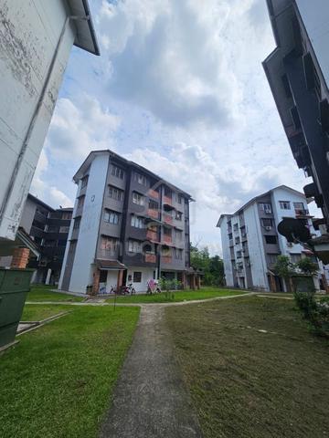 Taman Molek 1