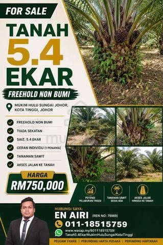 5.4 EKAR TANAH KELAPA SAWIT|FREEHOLD NON BUMI | Kota Tinggi Johor 1