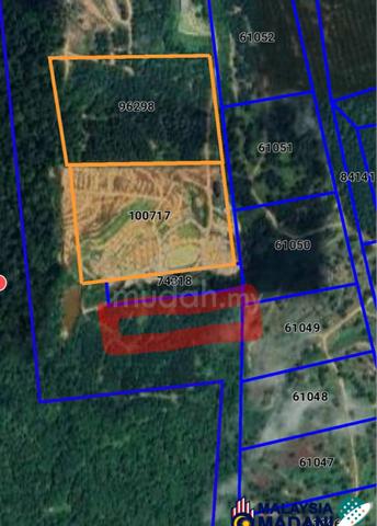 Tanah Pertanian Kelapa Sawit 2 ekar Kluang Johor 1