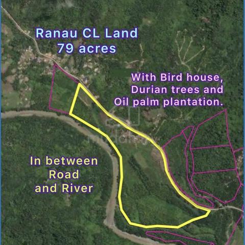 Ranau Fruits Farm For Sale 1