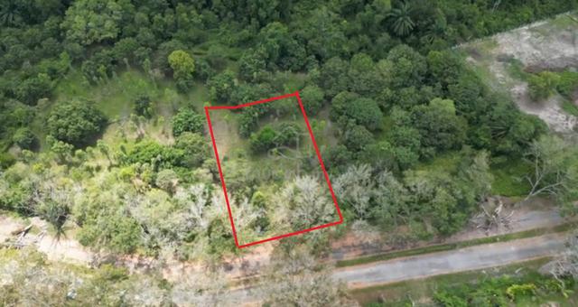 Tanah Pertanian Tanaman Gaharu 1.28ekar Nusa Dusun Untuk Dijual 1