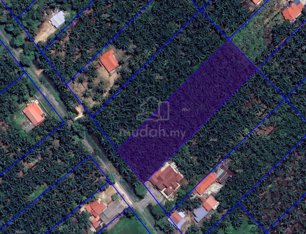 1.5 Ekar Tepi Jalan. Sungai Burong, Tanjong Karang 1