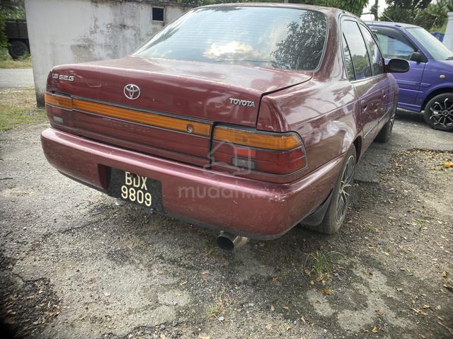 Toyota COROLLA 1.6 SEG ae101 - 2
