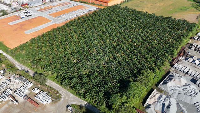 SENAI ( seelong ) @ MEDIUM INDUSTRY LAND @ FOR SALE 1