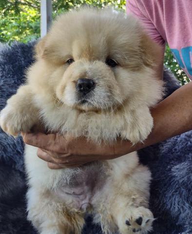 Carousel Image Selected