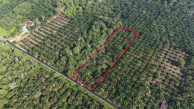 TANAH KEBUN 2 Ekar di Kg Bentong Dalam, Kluang [PALING MURAH] 1