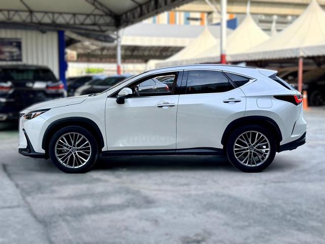 2023 Lexus NX250 2.5 10,000KM (A)Brown Int MUSVIEW - 5