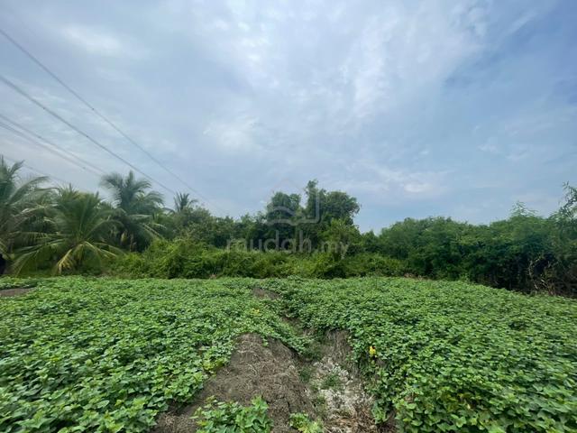 Kapar,0.25 acre agriculture land for sale, individual title 1