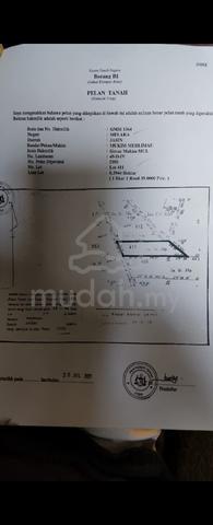 Tanah Sawit utk dijual 1