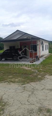 Rumah untuk Disewa Area Serting Tengah 1