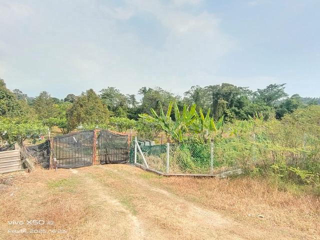 Kuala Sawah, Agricultural Land, Kuala Sawah, Rantau, Seremban, N9 2