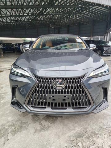2022 Lexus NX250 2.5 LUXURY (A) - 1