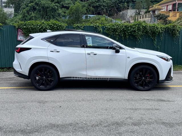 RED IN PANROOF 360CAM BSM Lexus NX 350 2.4 F SPORT - 3