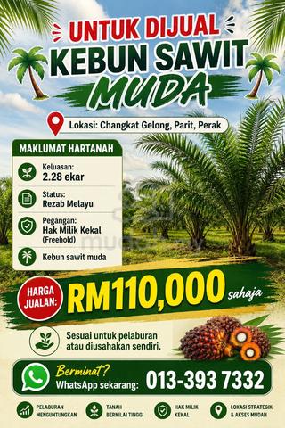 2.28 Ekar Kebun Sawit Muda Changkat Gelong Parit Perak 1