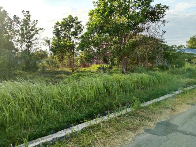 Tanah cantik 1.06 ekar tepi jalan sesuai buat rumah family 1