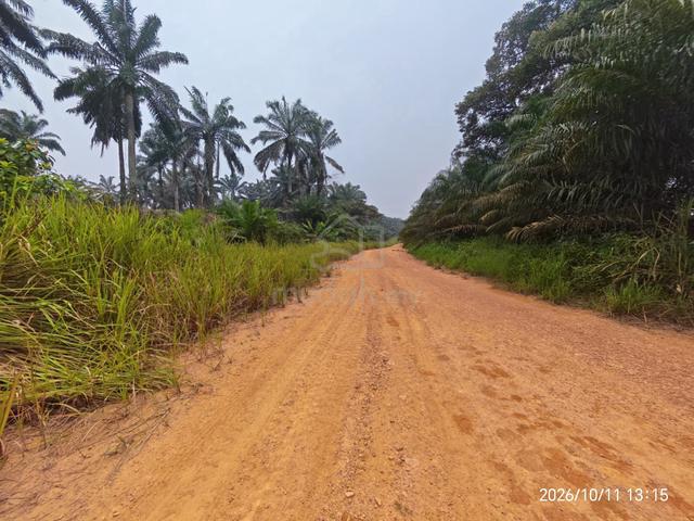 Kulai Batu 24 / IndahPura / Saleng / Batu 26 Industrial & Commercial 1