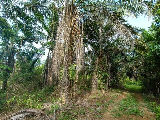 Tanah Lot Banglo, Kampung Tersusun Lipat Kajang, Jasin, Melaka 1