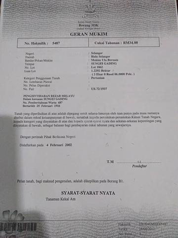 Tanah pertanian 5 ekar 1
