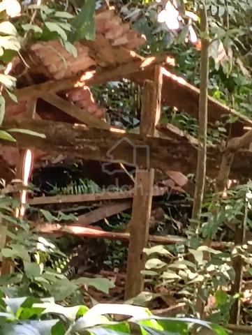 Tanah Dusun untuk dijual di Semeling Kedah 4