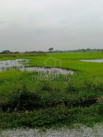 Tanah ekar murah 1