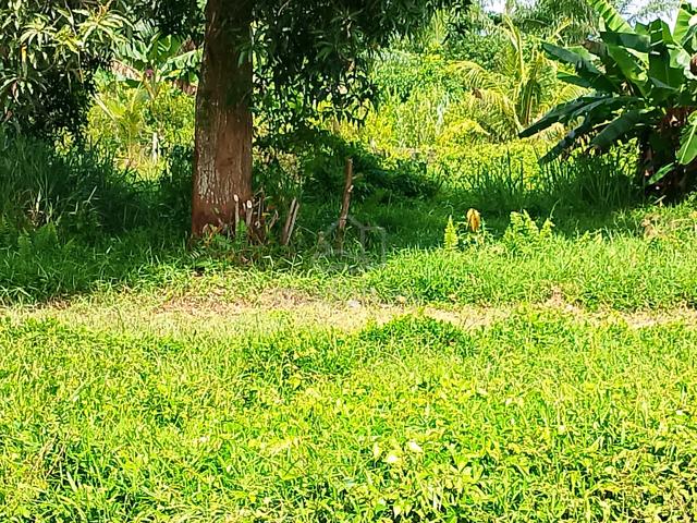 Tanah Lot Premium Strategic Kg Sungai Klanang Banting 4
