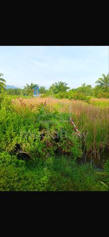 Tanah Pertanian 1.07 Ekar Kampung Teluk Pulai, Pulau Carey, Banting 1