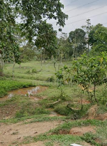 Tanah Kampung Untuk Dijual 1