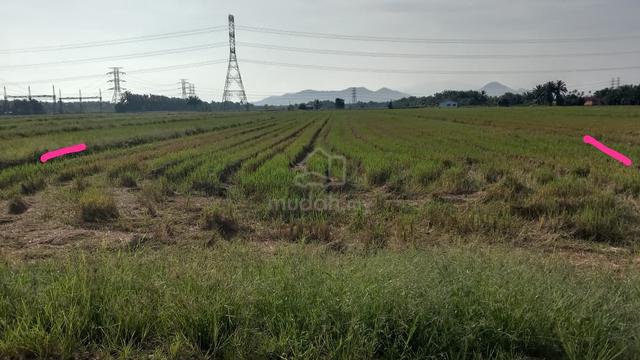 Tanah sawah untuk dijual di Bagan serai 1