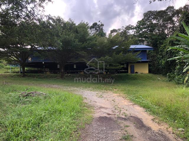 Dewan untuk disewa di jeli 1