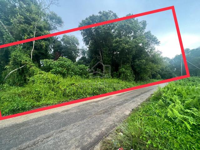 Tanah 1.5 ekar sungai ular cherating tepi jalan 1
