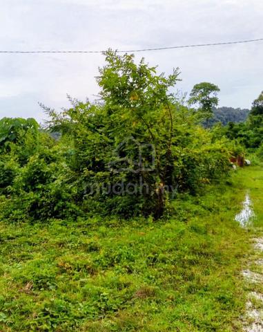 Tanah Luas Kawasan Cantik Dekat Dengan Pantai Chenang Langkawi
1