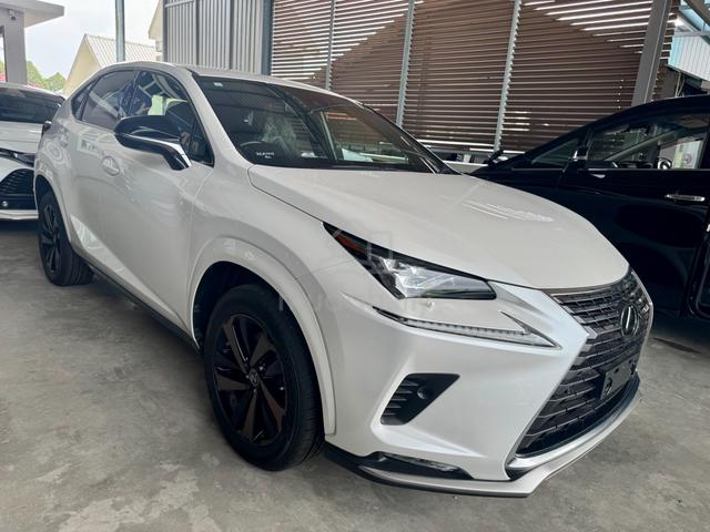 2021 Lexus NX300 Spice Chic - 3