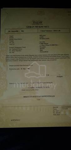tanah pertanian untuk dijual di Jasin Melaka. 1
