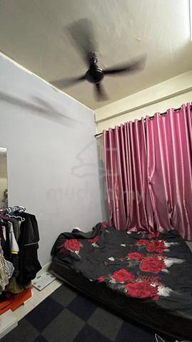 Medium room for rent admission 1 September 2026 bsp21 1