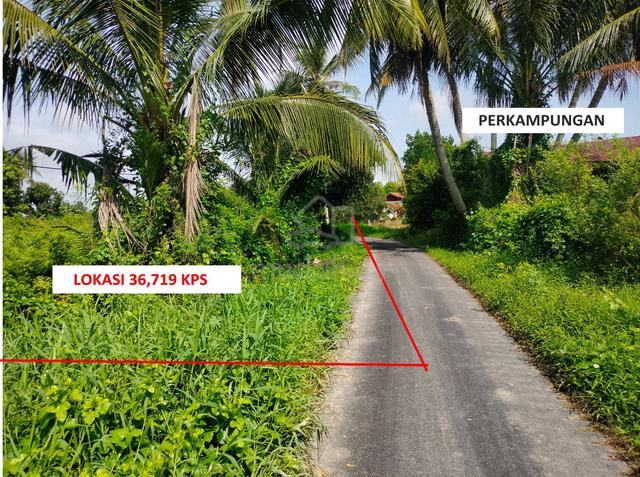 Tawaran Lot Sawah 36,719 Kps, Kampung Kuar, Mukim Tajar, Kota Setar 1