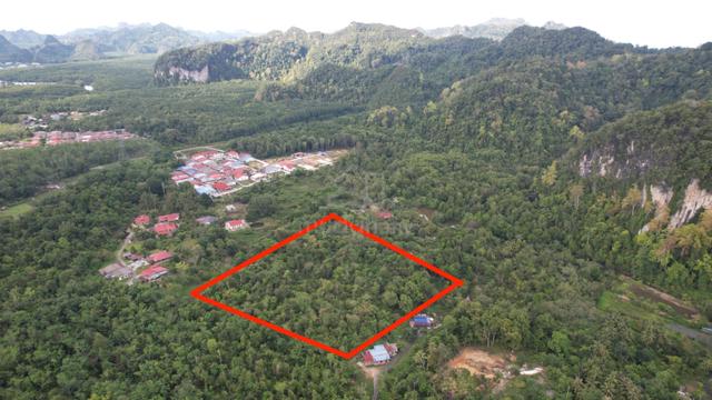Agriculture Land - Langkawi 1