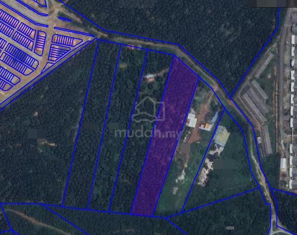 WITH OIL PALM Durian Tunggal FREEHOLD Agricultural Land 1
