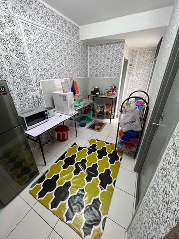 Pulai hijauan 2