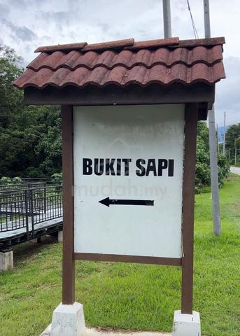 Tanah Pertanian Kg Bukit Sapi Lenggong Perak No agent fee 1