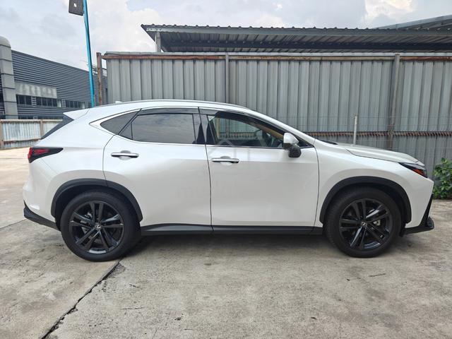 2022 Lexus NX 250 VL P/Roof 4Cam Brown Leather HUD - 5