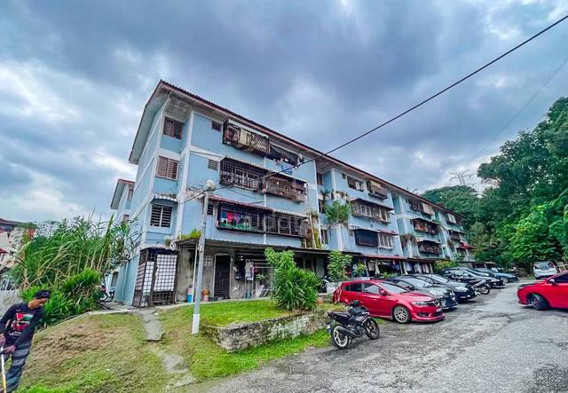 Apartment Dahlia B 1